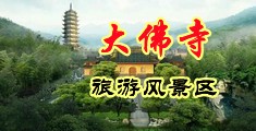 鸡巴日屄视频网站中国浙江-新昌大佛寺旅游风景区